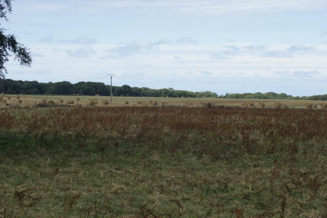 Le Tiot Gite Le Bois de Cise Luaran gambar